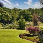 Fertilizing the Garden: Insights on Lime and Mango Fertilizers