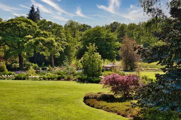 Fertilizing the Garden: Insights on Lime and Mango Fertilizers